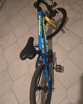 Bici da 20 pollici  erreerre 