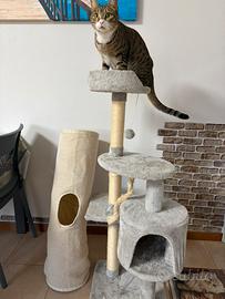 Tiragraffi +  Tubo gatti