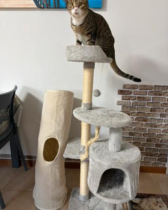 Tiragraffi +  Tubo gatti