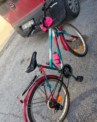 Bici  bambina raggio 24