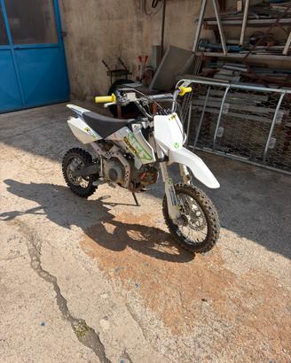 Pit Bike YCF START 125cc 4T come nuova TRATTABILE