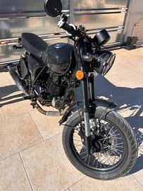 mash 250 2022