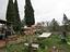 Immagine 12