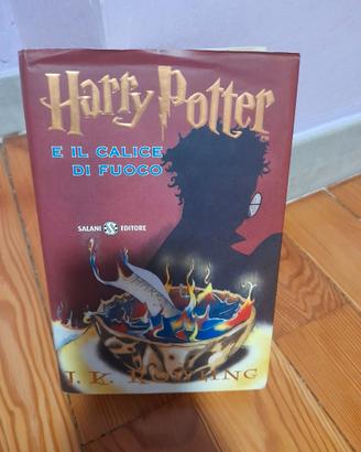 Harry Potter
