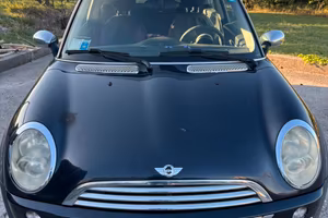 Mini One D