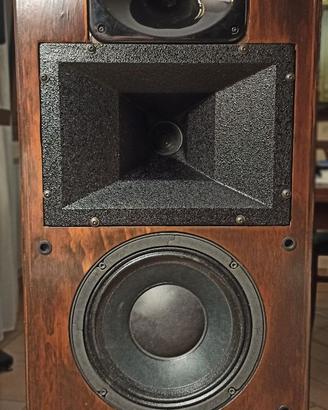 Diffusori autocostruiti Faitalpo BMS 18 sound