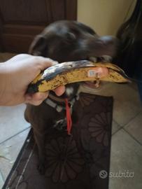 Banana inside out reperto raro limited edition