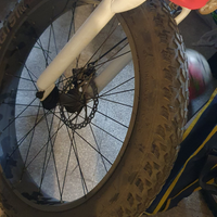 Fat bike