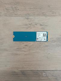Wd Blue ssd