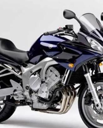 Yamaha Fazer fz6 (04-07) ricambi