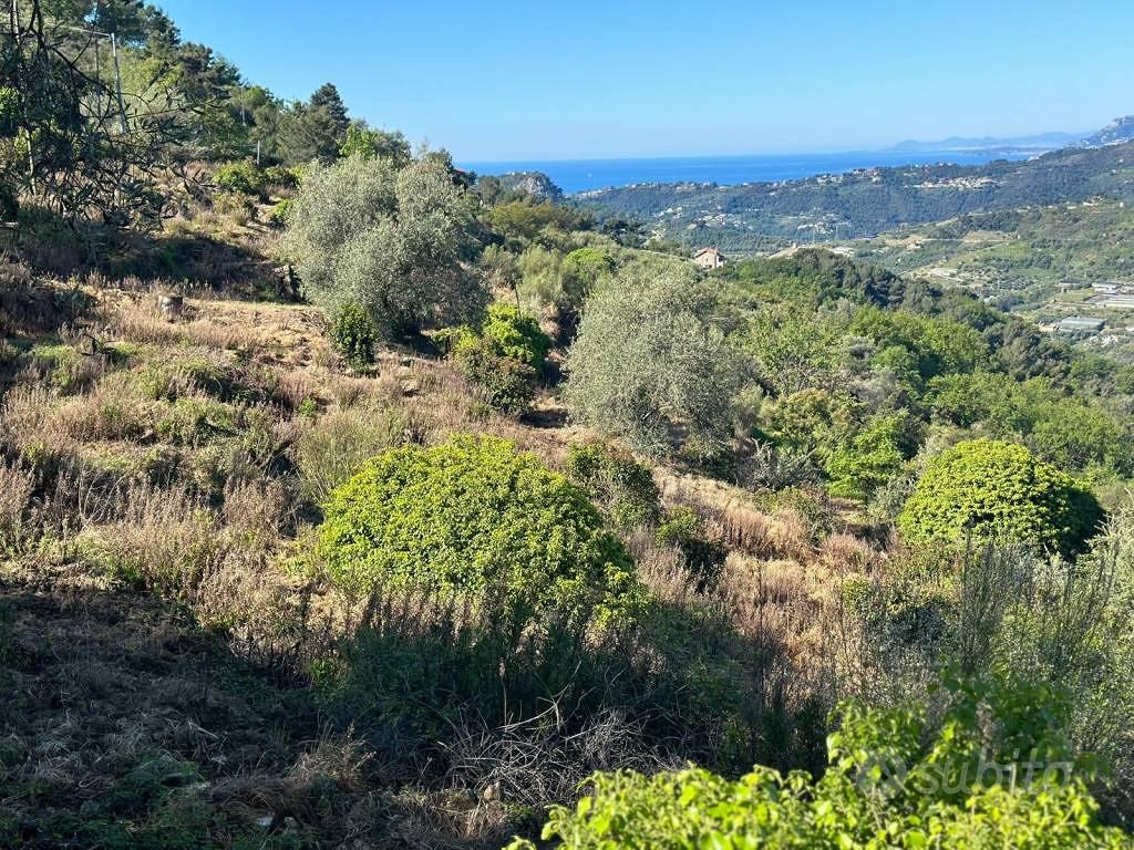 Terreno di 4000 m² a Vallebona - Vista 3