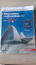 Matematica Multimediale.blu 1 