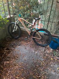 mondraker dune r