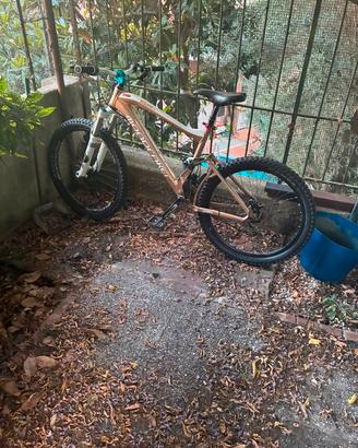 mondraker dune r