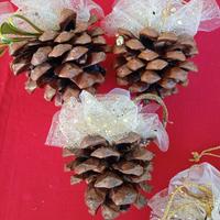 Decori Pigne natalizie  (1026)