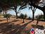Immagine 28