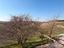Immagine 28