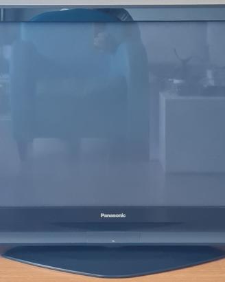 TV 42' Plasma Panasonic con DVB e satellitare