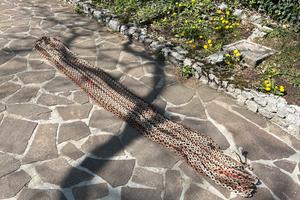 Catena ancora 6 mm - 50 m