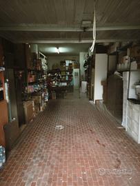 Garage con bagno e soppalco