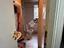 Immagine 15