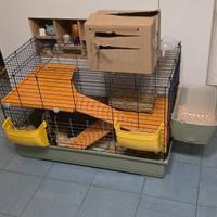 Gabbia e porcellini d'india