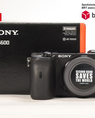 Sony A6600