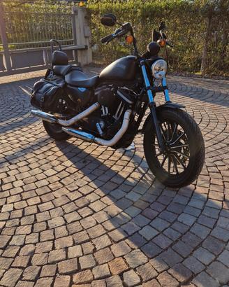 Harley-davidson 883 Iron XL 883N