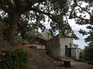 Terreno con fabbricato