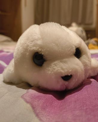 peluche foca