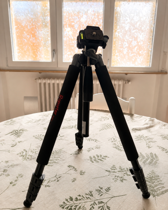 Treppiede fotografico Reporter regolabile