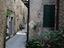 Immagine 7