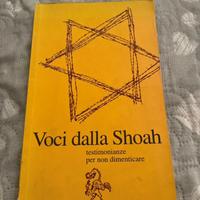 Libro shoah