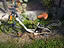 Immagine 5