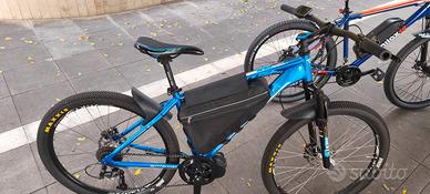 Bici elettrica 