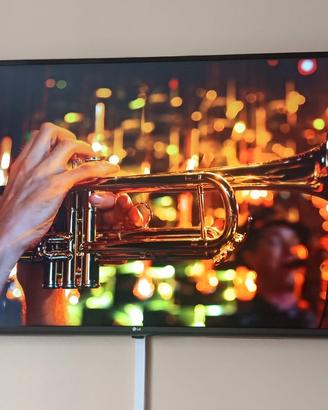  TV LG 55 pollici