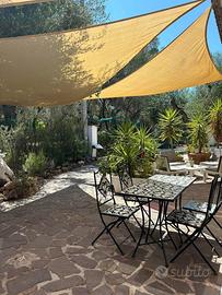 Palinuro- oikos noemi