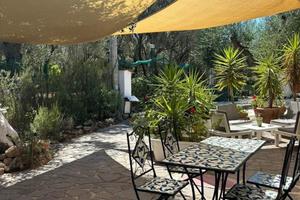 Palinuro- oikos noemi