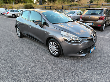 Renault Clio National Customer