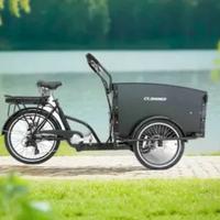 bici triciclo  Schiano pedalata assistita