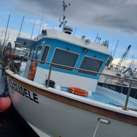 Barca da pesca con licenza e pescaturismo