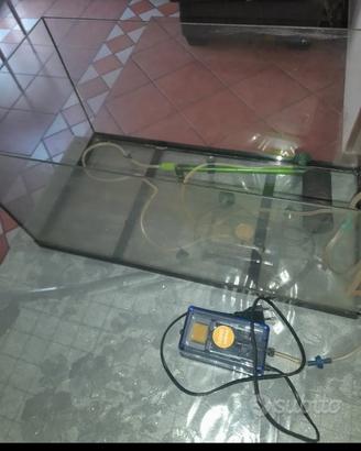 acquario 