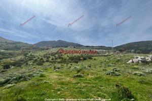 Terreno, Calatafimi Alta - Molara - Villa Tasca, P