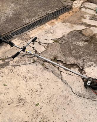 Decespugliatore a motore