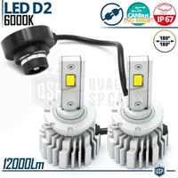 Lampadine LED D2S Conversione Xenon 6000K 12000LM
