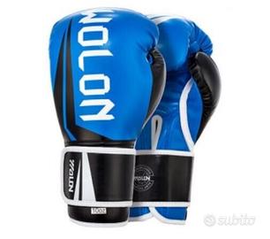 Guanti da allenamento boxe 12 oz WOLON