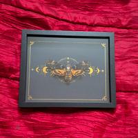 Quadro con  farfalla sfinge testa di mroto