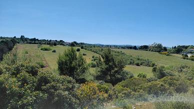 Terreno - baddelonga russeglia