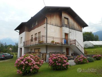 Villa singola con ampio giardino