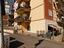 Immagine 6